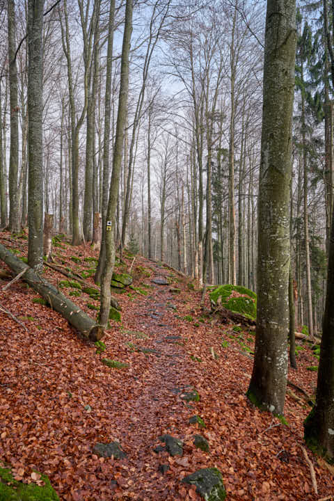 Gemeinde Sankt_Oswald-Riedlhütte Landkreis Freyung-Grafenau Großer Rachel Wanderweg (Dirschl Johann) Deutschland FRG